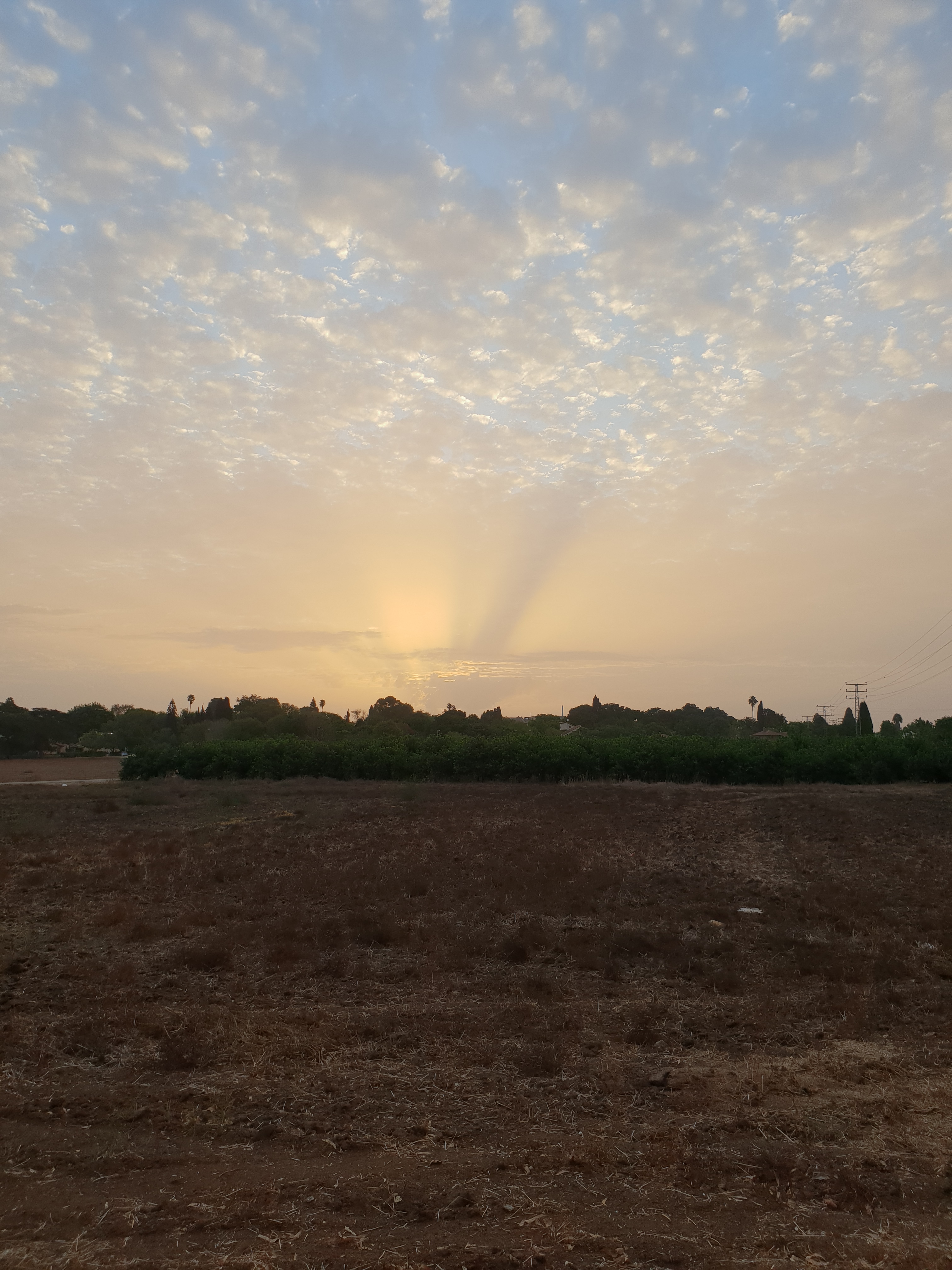 שמיים חגלה.jpg